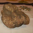 /album/photogallery/tartufo-2-70-gr-jpg1/